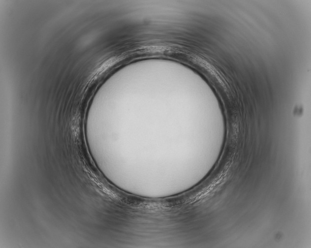 X0000094920778200712201219