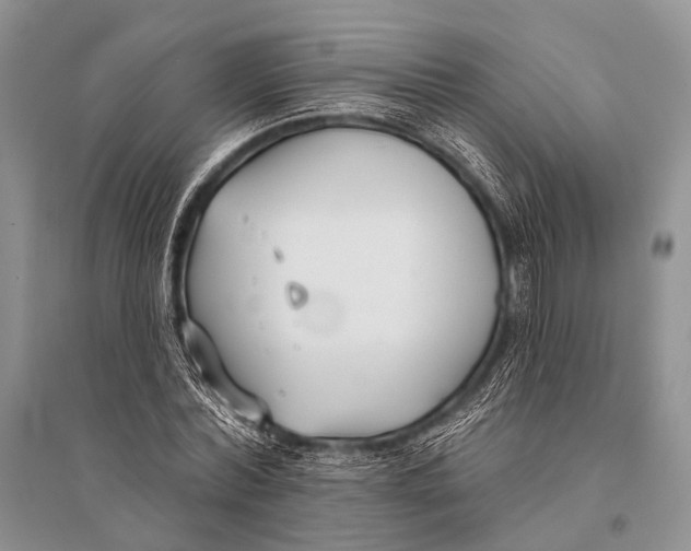 X0000094920780200712201219