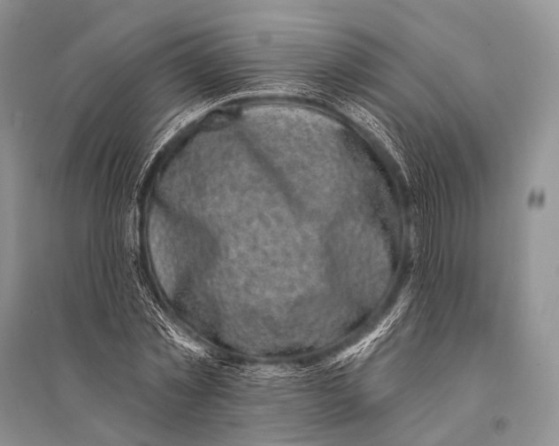 X0000094920781200712201219