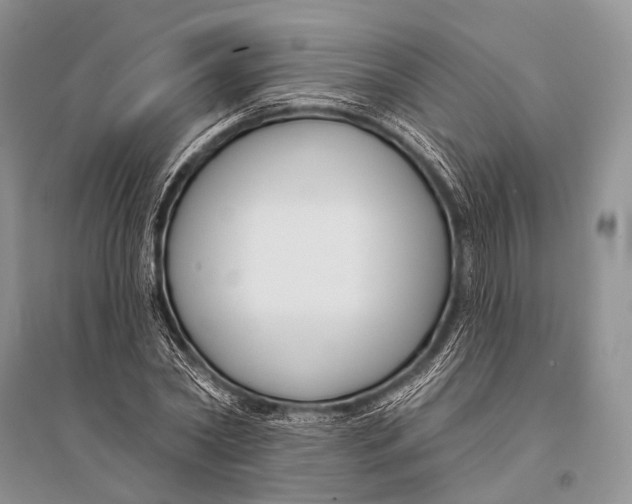 X0000094920782200712201219