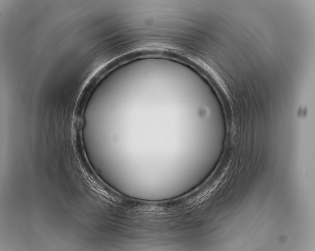 X0000094920783200712201219