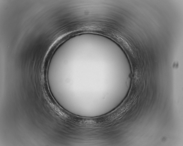 X0000094920784200712201219