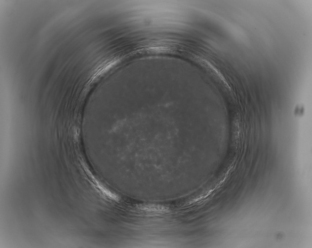 X0000094920785200712201219