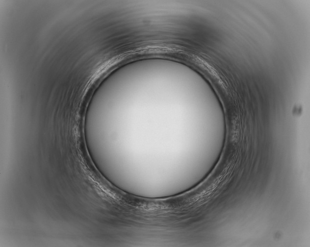 X0000094920786200712201219