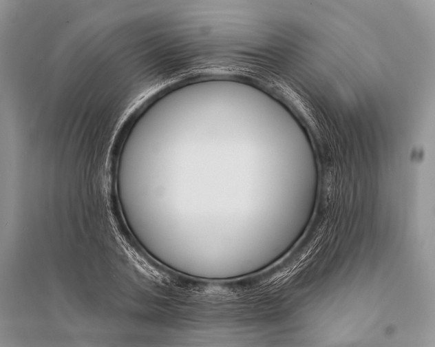 X0000094920787200712201219