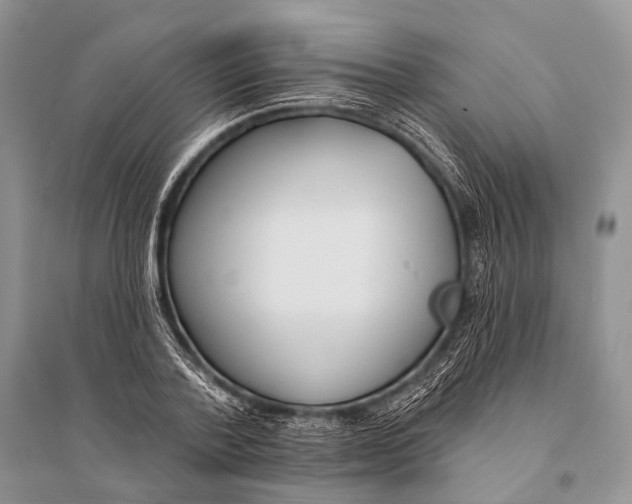 X0000094920788200712201219