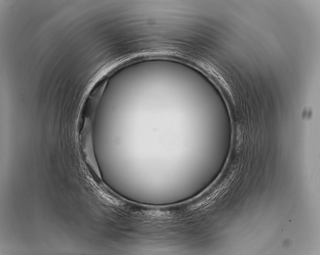 X0000094920789200712201219