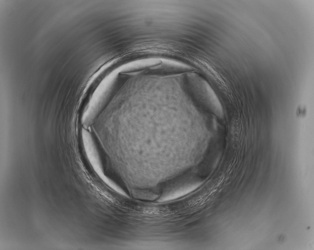 X0000094920790200712201219