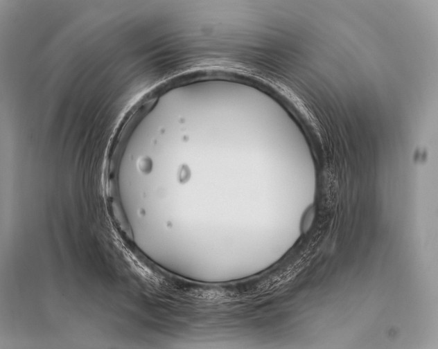 X0000094920791200712201219