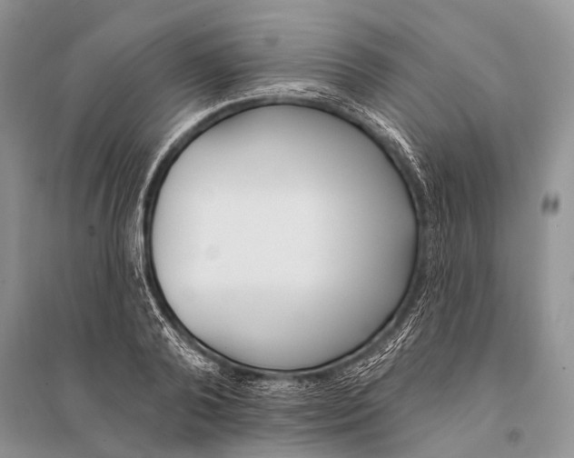 X0000094920792200712201219