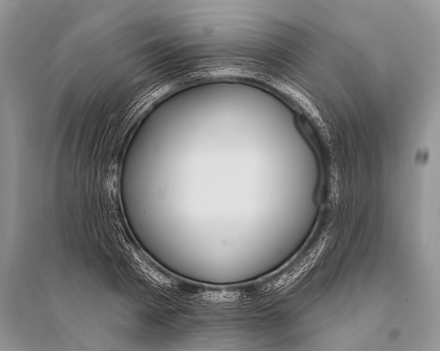 X0000094920793200712201219