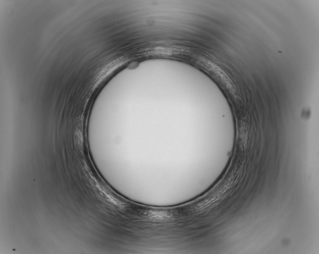 X0000094920794200712201219