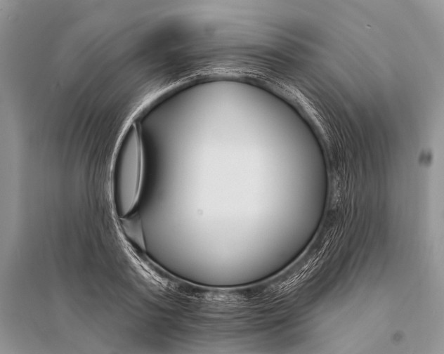 X0000094920795200712201219