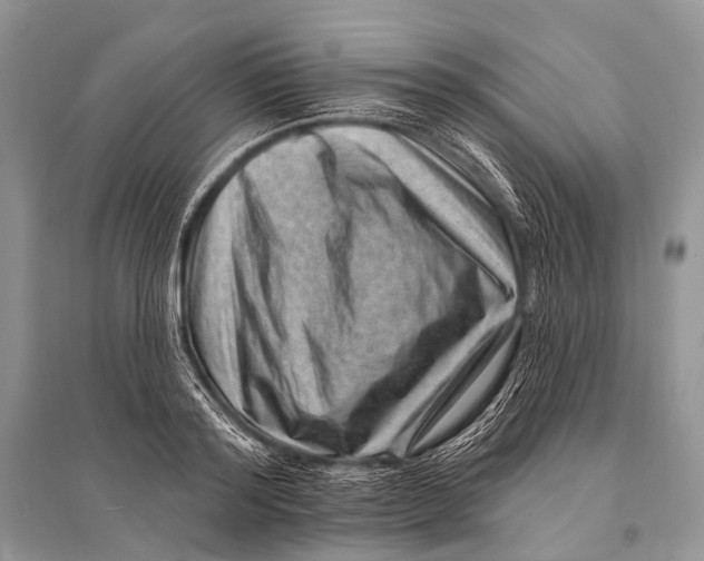 X0000094920796200712201219