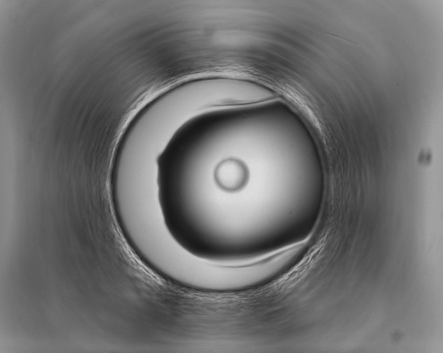 X0000094920797200712201219