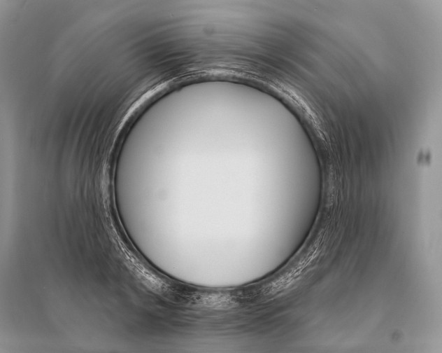 X0000094920798200712201219