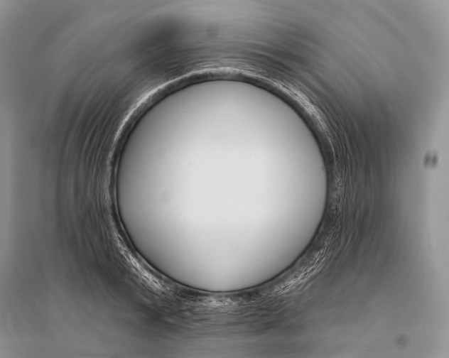 X0000094920799200712201219