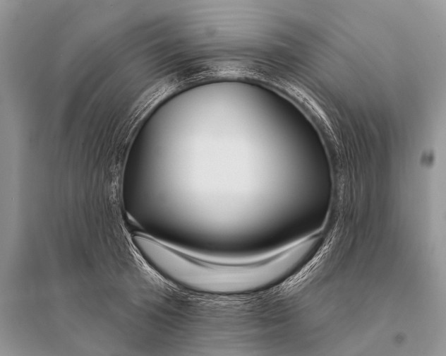 X0000094920801200712201218