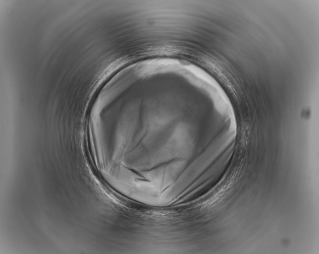 X0000094920802200712201218