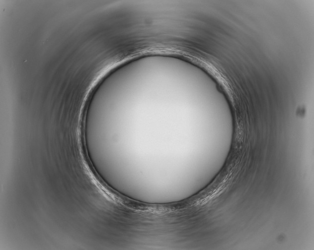 X0000094920803200712201218