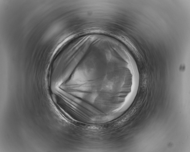 X0000094920806200712201218