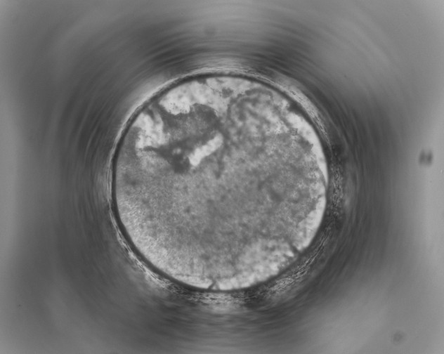 X0000094920807200712201218