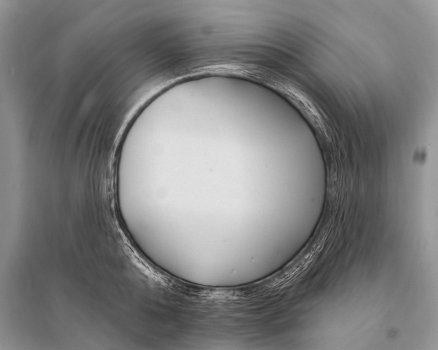 X0000094920808200712201218