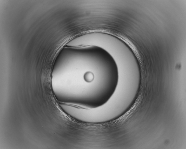 X0000094920809200712201218