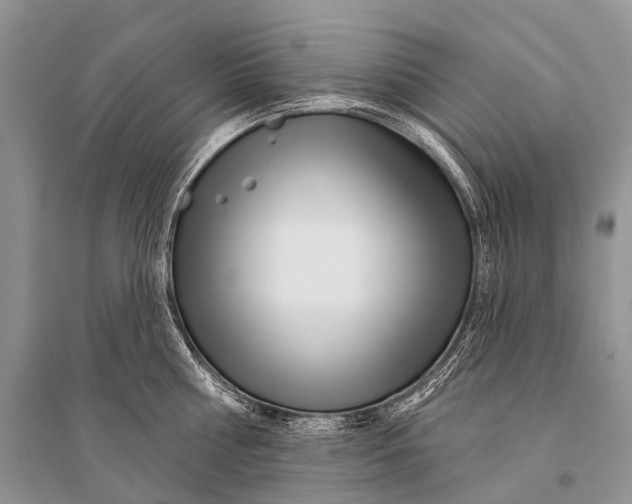 X0000094920810200712201218