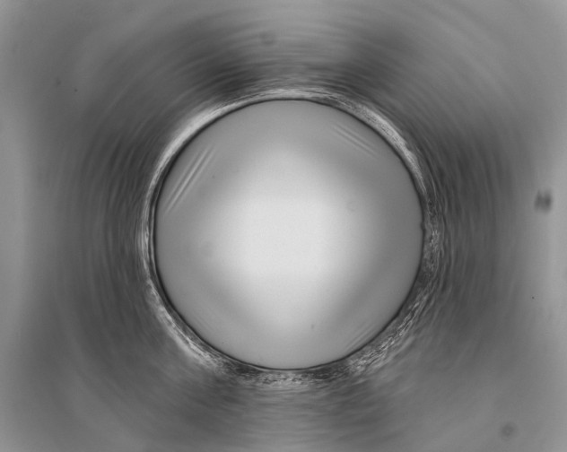 X0000094920811200712201218