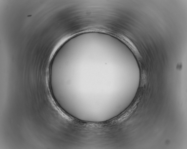 X0000094920812200712201218