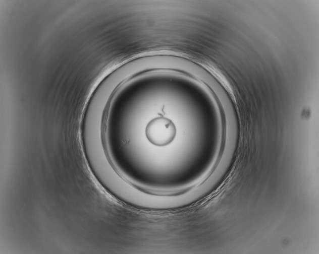 X0000094920813200712201218