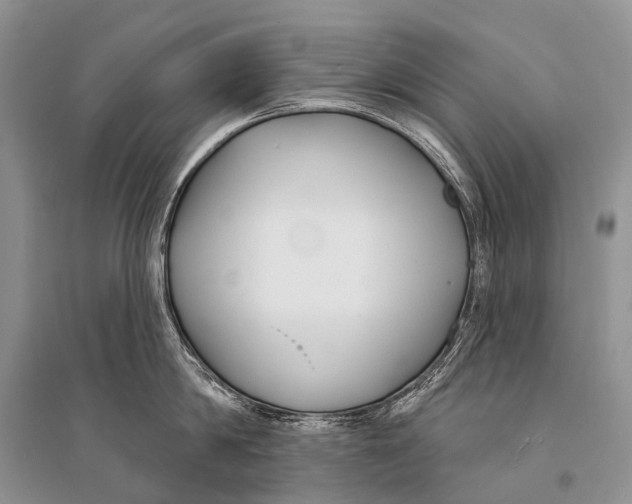 X0000094920814200712201218