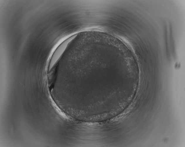 X0000094920816200712201218