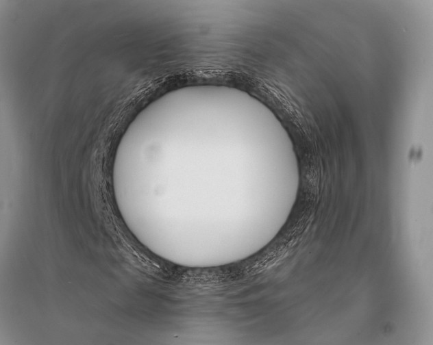 X0000094920817200712201217