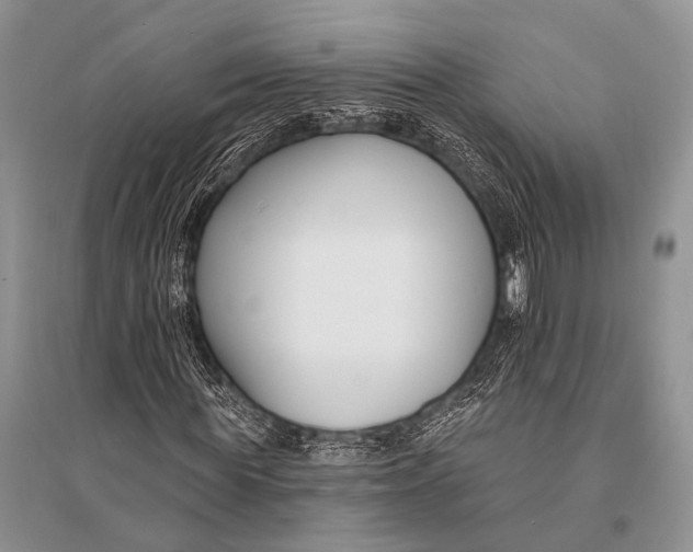 X0000094920819200712201217