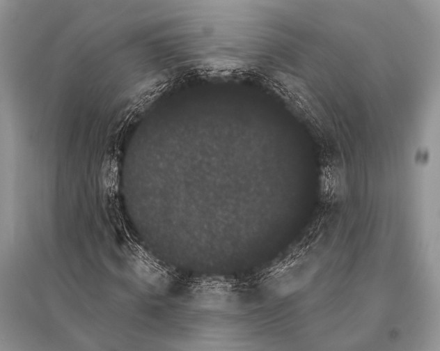 X0000094920820200712201217