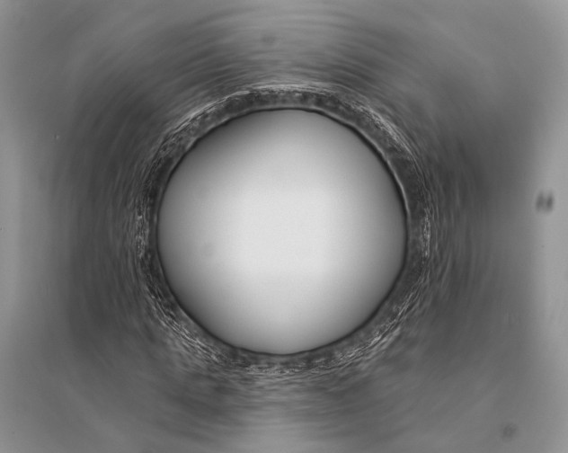 X0000094920821200712201217