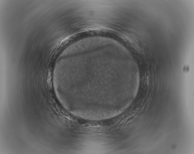 X0000094920822200712201218