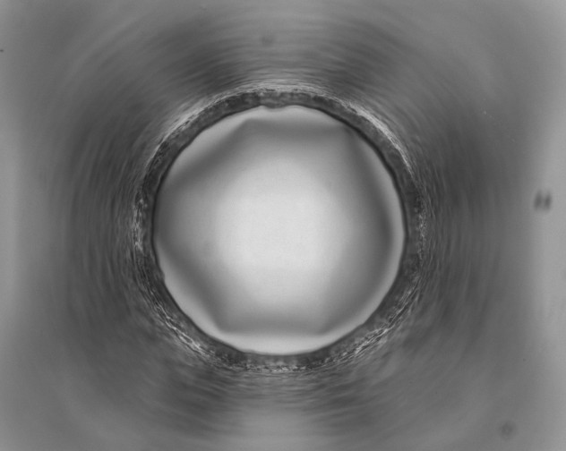 X0000094920823200712201218