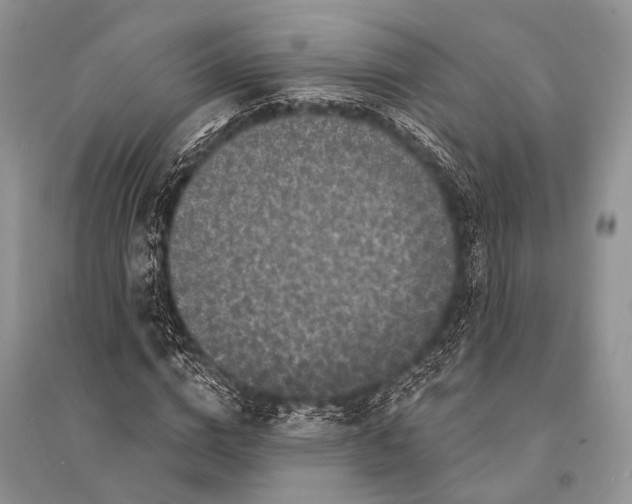 X0000094920824200712201218