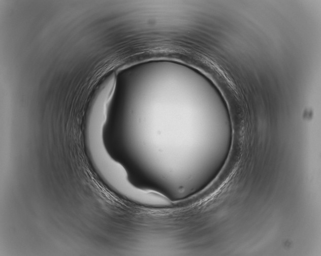 X0000094920825200712201218