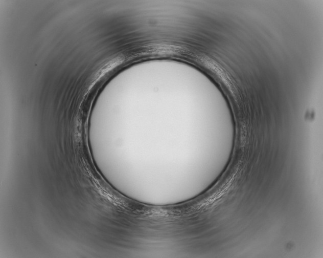 X0000094920827200712201218