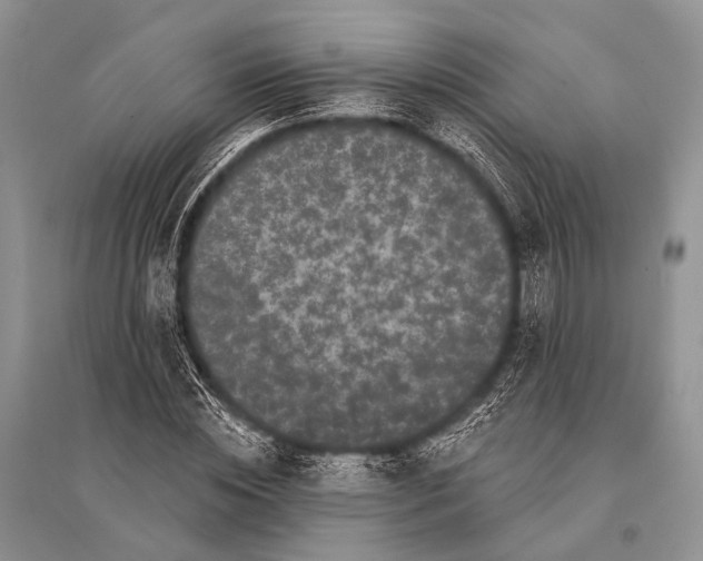 X0000094920828200712201218