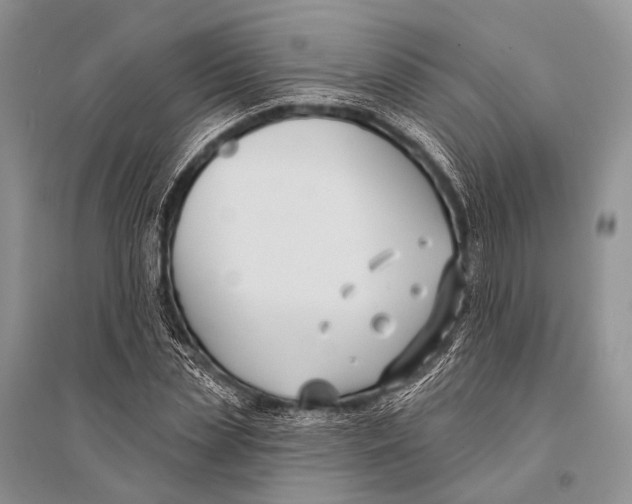 X0000094920829200712201218