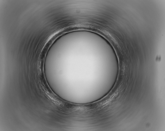 X0000094920830200712201218