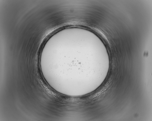 X0000094920831200712201218