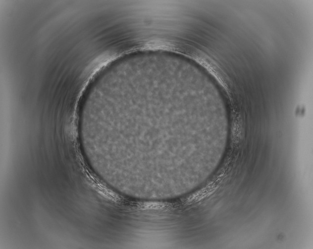 X0000094920832200712201218