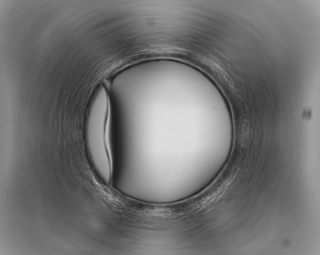 X0000094920833200712201218