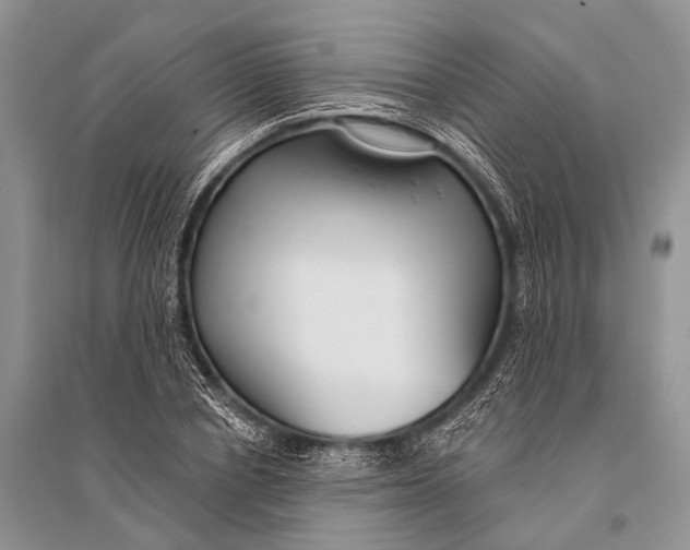 X0000094920834200712201218